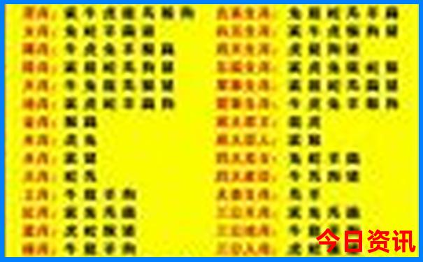 肥城适合孩子玩的地方